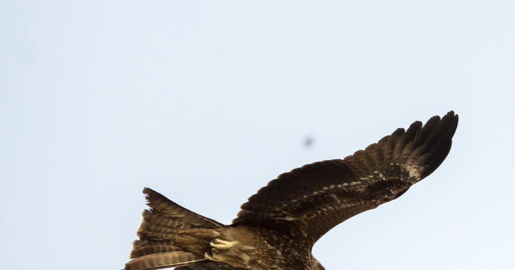 Fuite d'eau urgente sous un évier – tuyau qui fuit en pleine nuit, appel plombier de nuit